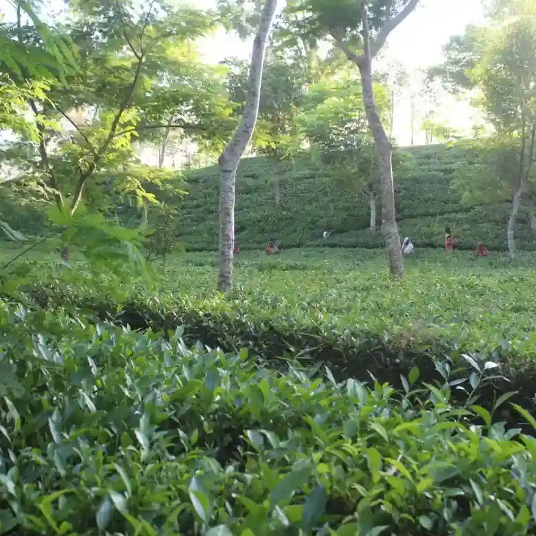 Story image