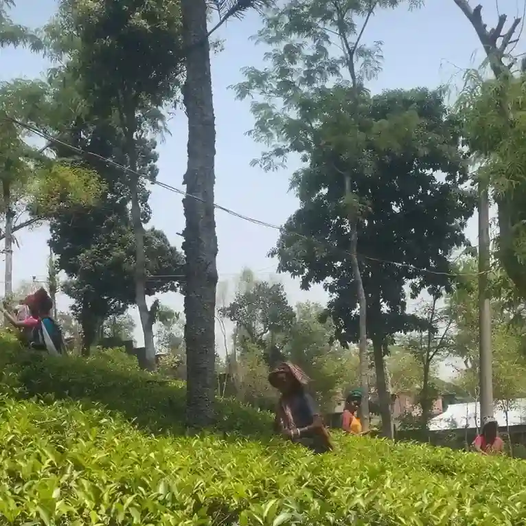 Story image