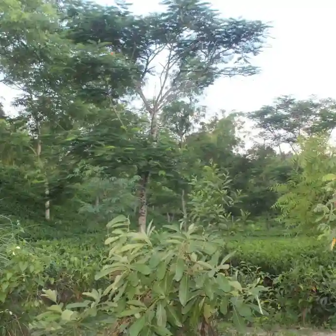 Story image