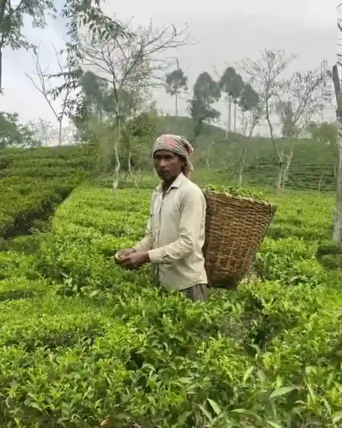 Garden Worker
