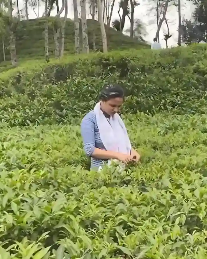 Garden Worker