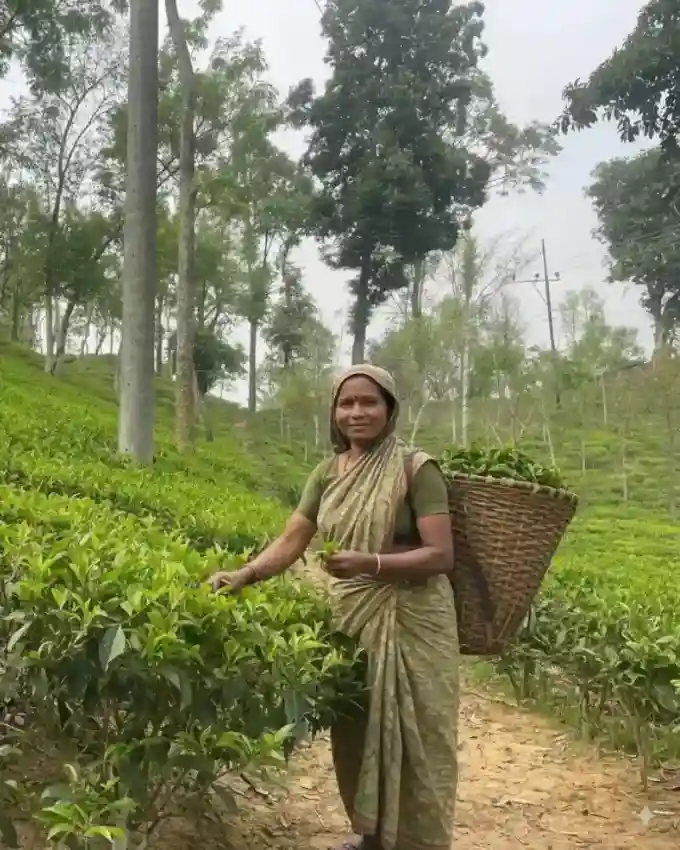 Garden Worker