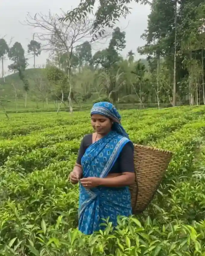 Garden Worker